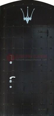 Металлическая арочная дверь ДА-22 высокого качества в Ростове-На-Дону