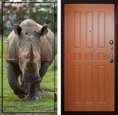 Металлическая дверь с фотопечатью носорога ДФ-31 в Ростове-На-Дону