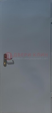 Серая противопожарная дверь ДПП-18 в Ростове-На-Дону