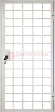 Белая металлическая решетчатая дверь ДР-2 в Ростове-На-Дону