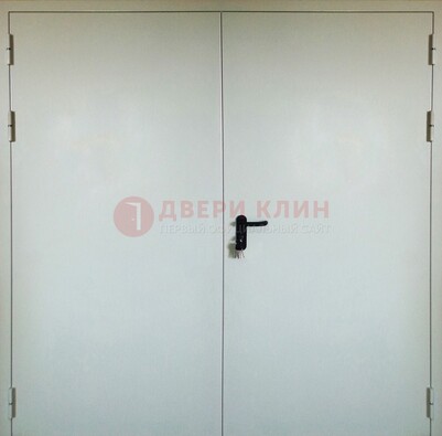 Белая металлическая противопожарная дверь ДТ-8 в Ростове-На-Дону